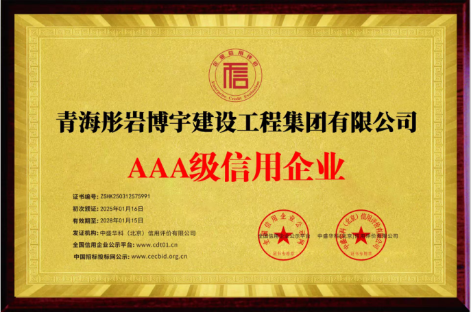 集团荣誉一